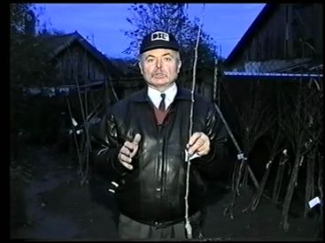 Kertészkedő