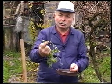 Kertészkedő